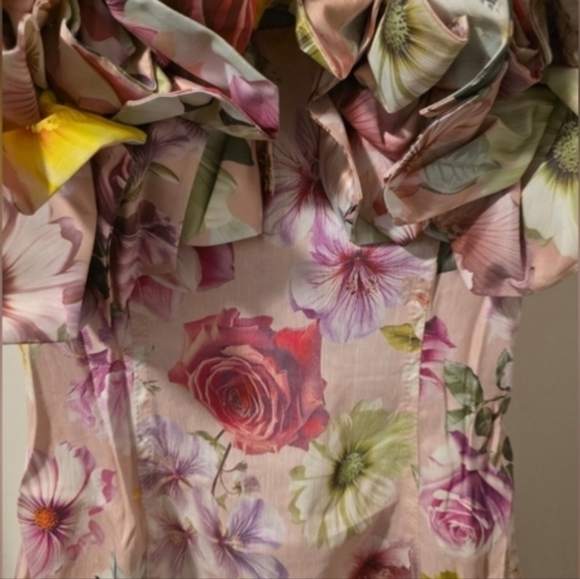 Aje Misha Maxi Dress Floral Maxi Pink 3D Flowers Size 6/US2 Party Weadding - Picture 6 of 7